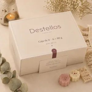 Caja de 6 wax melts, cerrada